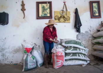 Abasto de insumos críticos, en riesgo; Banco Mundial ofrece ayuda