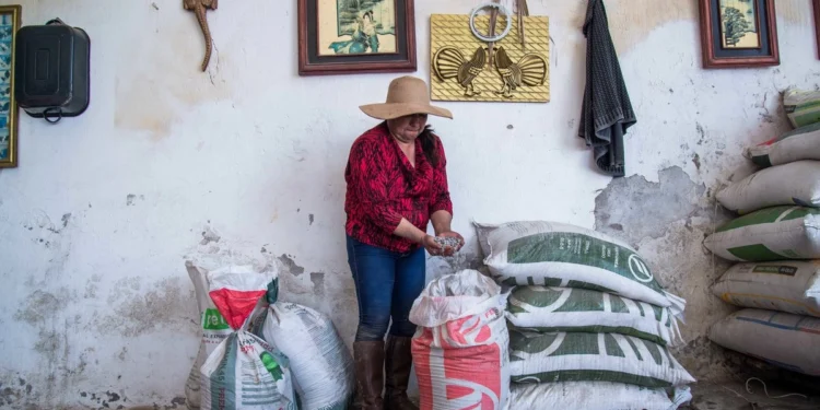 Abasto de insumos críticos, en riesgo; Banco Mundial ofrece ayuda
