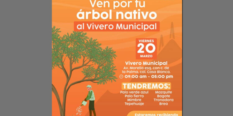 Este viernes 20 el Vivero Municipal donará árboles nativos