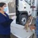 Vigilar síntomas y mantener limpio el hogar puede salvar vidas ante la rickettsiosis: SSP