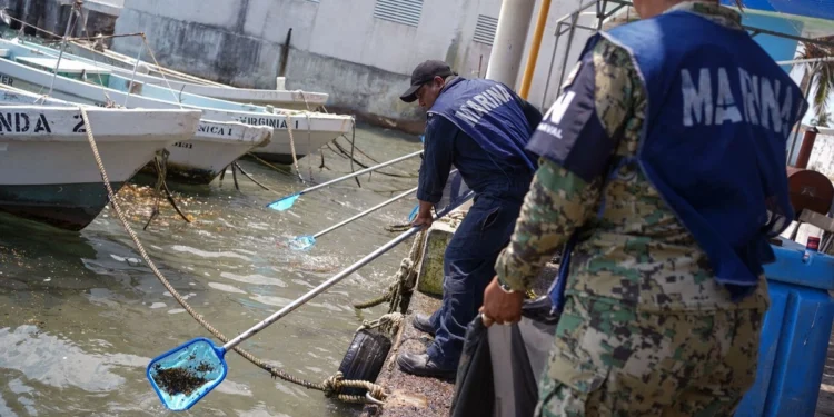 La gobernadora de Veracruz, Rocío Nahle, insiste en minimizar el arribo de chapopote
