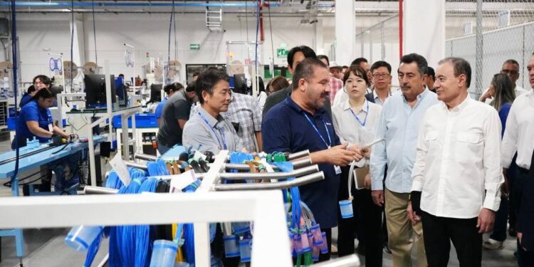 Gobernador Durazo coloca a Sonora en el top 3 nacional de empleo formal
