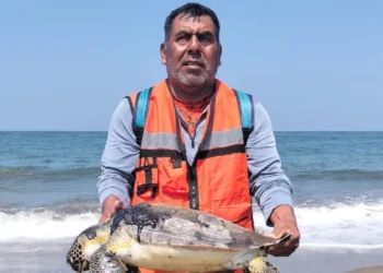 Demandan indemnización por derrame de hidrocarburo en sur de Veracruz