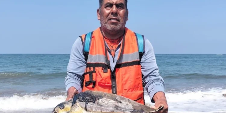 Demandan indemnización por derrame de hidrocarburo en sur de Veracruz
