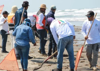 Derrame de hidrocarburo ha afectado más de 630 km de litoral en Veracruz y Tabasco