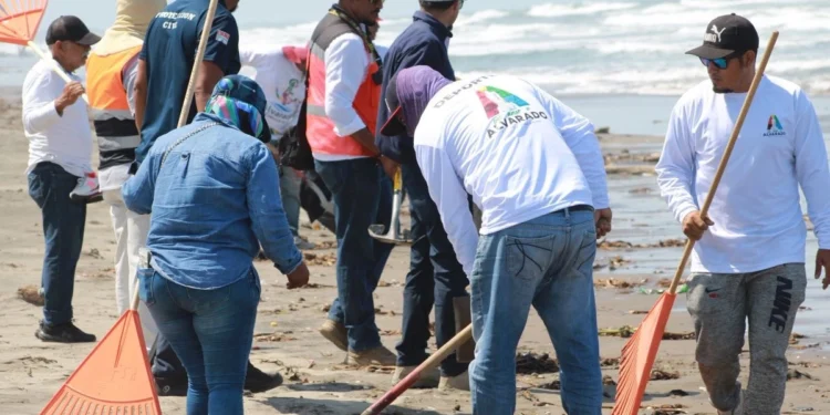 Derrame de hidrocarburo ha afectado más de 630 km de litoral en Veracruz y Tabasco