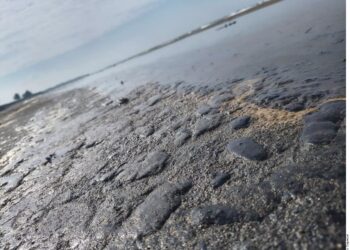 Denuncia Tabasco ante la ASEA el arribo de chapopote a sus costas