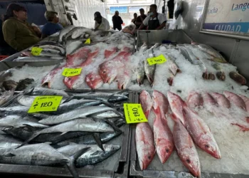 Pescados y mariscos, ya al alza antes de Semana Santa