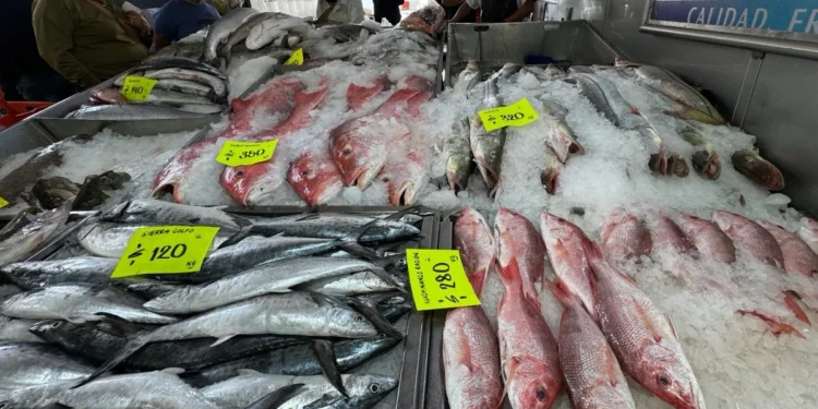 Pescados y mariscos, ya al alza antes de Semana Santa