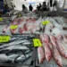 Pescados y mariscos, ya al alza antes de Semana Santa