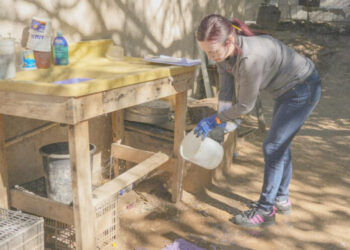 Refuerzan llamado a prevenir el dengue ante temporada invernal atípica