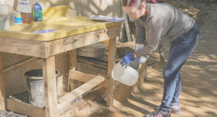 Refuerzan llamado a prevenir el dengue ante temporada invernal atípica