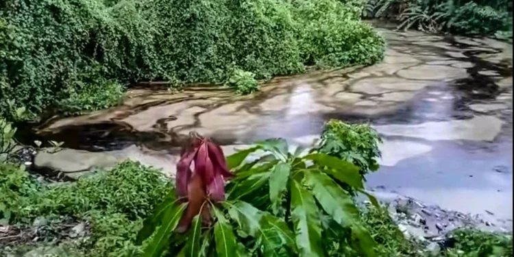 Fuga de ducto contamina agua en Veracruz