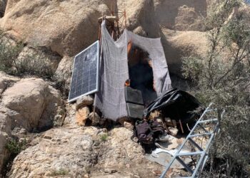 Trabajo conjunto permite asegurar infraestructura utilizada para actividades ilícitas: PESP