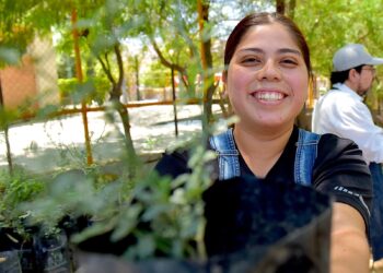 Invita Gobierno de Hermosillo a adoptar un árbol nativo este viernes 17 de abril