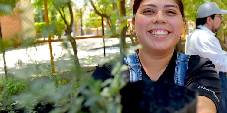 Invita Gobierno de Hermosillo a adoptar un árbol nativo este viernes 17 de abril