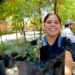 Invita Gobierno de Hermosillo a adoptar un árbol nativo este viernes 17 de abril