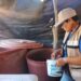 Refuerza Salud Sonora acciones preventivas y de control contra el dengue en todo el estado