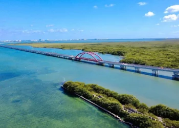 Nueva ley no obliga a las Afore a invertir en obras del gobierno