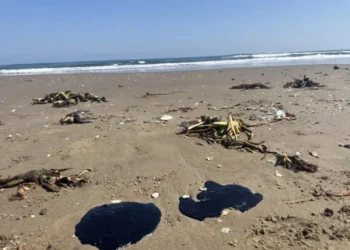 Detectar efectos tóxicos por derrame de hidrocarburos en el Golfo llevará meses y será costoso: expertos