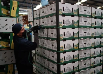 México, firme como el principal proveedor de EU; China, cuarto lugar