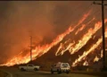 Tras los incendios, Los Ángeles sufre escasez de 100 mil obreros para la reconstrucción