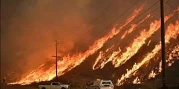 Tras los incendios, Los Ángeles sufre escasez de 100 mil obreros para la reconstrucción
