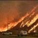Tras los incendios, Los Ángeles sufre escasez de 100 mil obreros para la reconstrucción