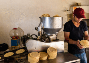 Gran Alianza de la Masa y la Tortilla Contra Incremento, Urge Mesas de Trabajo con la Federación