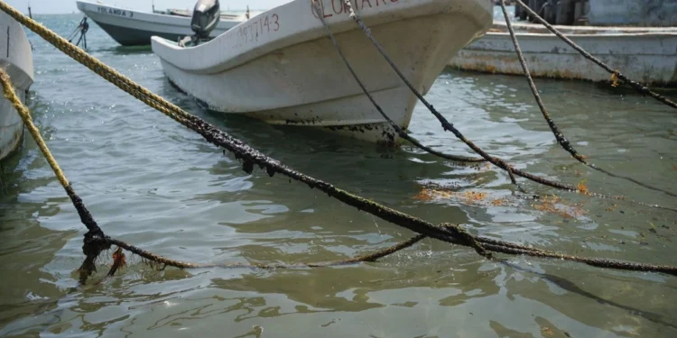 Afecta a más de 20 mil pescadores derrame en Veracruz