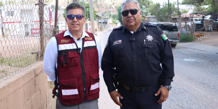Iniciarán bacheo de la calle Natación