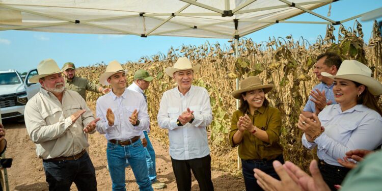 Gobernador Durazo y Sader garantizan apoyo al campo sonorense con estrategia de reconversión de cultivos