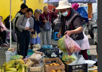 Hogares generaron 34.6% del PIB en el cuarto trimestre 2025: INEGI