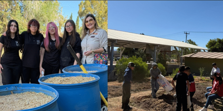 Estudiantes de la primara Elodia participan en proyecto ambiental