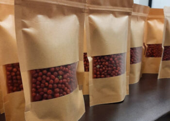 Un éxito segunda cosecha de chiltepín en Universidad Tecnológica de Etchojoa