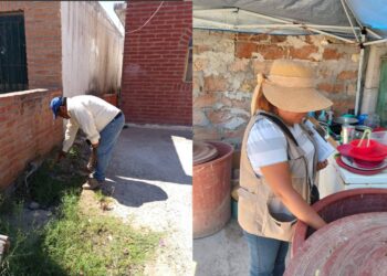 *Llama Salud Sonora a buscar “criaderos invisibles” de dengue dentro del hogar*