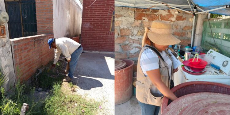 *Llama Salud Sonora a buscar “criaderos invisibles” de dengue dentro del hogar*