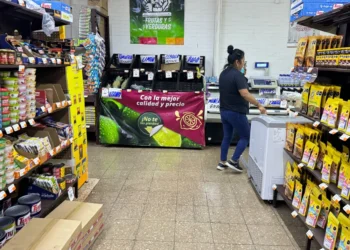 Consumo privado en febrero mostró un retroceso generalizado en bienes nacionales: Inegi