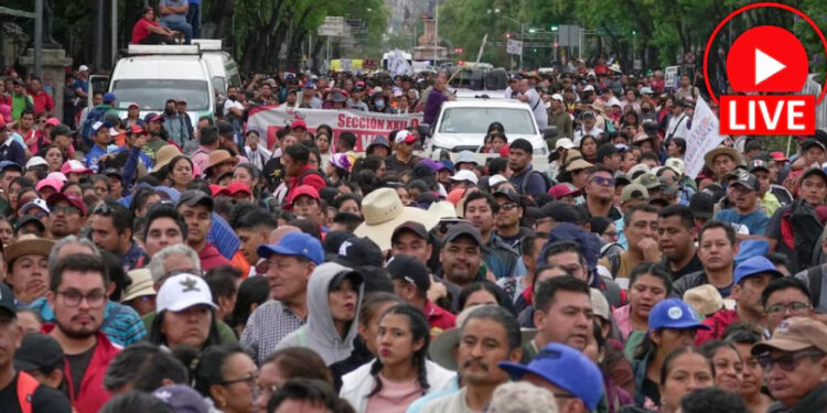 Marchas de la CNTE en CDMx hoy 25 de Mayo