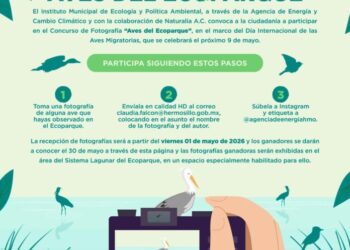 Conmemora Gobierno de Hermosillo Día Internacional de las Aves Migratorias con un concurso de fotografía