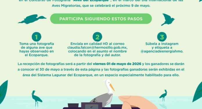 Conmemora Gobierno de Hermosillo Día Internacional de las Aves Migratorias con un concurso de fotografía