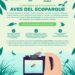 Conmemora Gobierno de Hermosillo Día Internacional de las Aves Migratorias con un concurso de fotografía