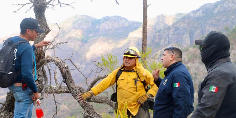 *Protección Civil Sonora y autoridades de los tres niveles de gobierno atienden incendio forestal en Álamos*