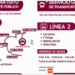 Facilita Gobierno de Sonora transporte gratuito nocturno en Hermosillo del 21 al 24 de mayo