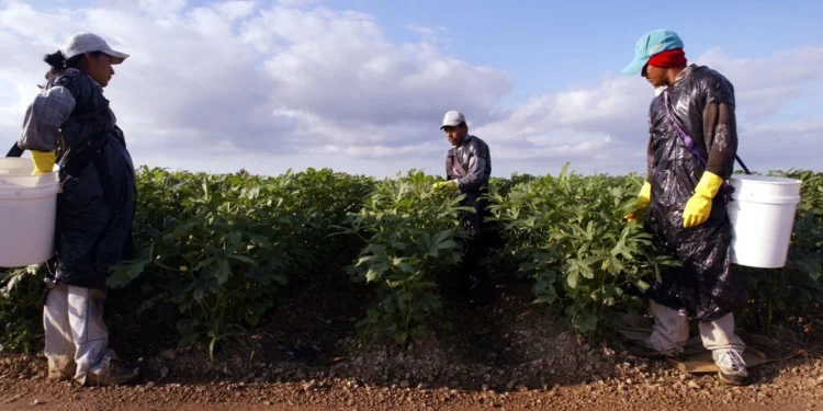 Migrantes mexicanos en EU constituyen la octava economía mundial