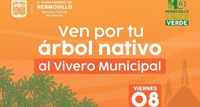 Donará Gobierno de Hermosillo árboles nativos este viernes 8 de mayo