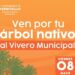 Donará Gobierno de Hermosillo árboles nativos este viernes 8 de mayo