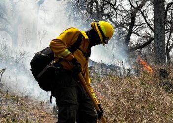 CEPC coordina esfuerzo de más de 100 combatientes forestales en Tarachi