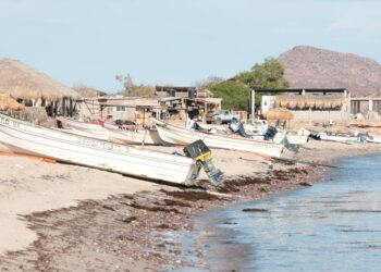 Respalda Cabildo de Guaymas a familias de La Manga 1 con trámite para electrificación