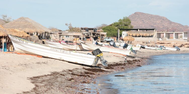 Respalda Cabildo de Guaymas a familias de La Manga 1 con trámite para electrificación